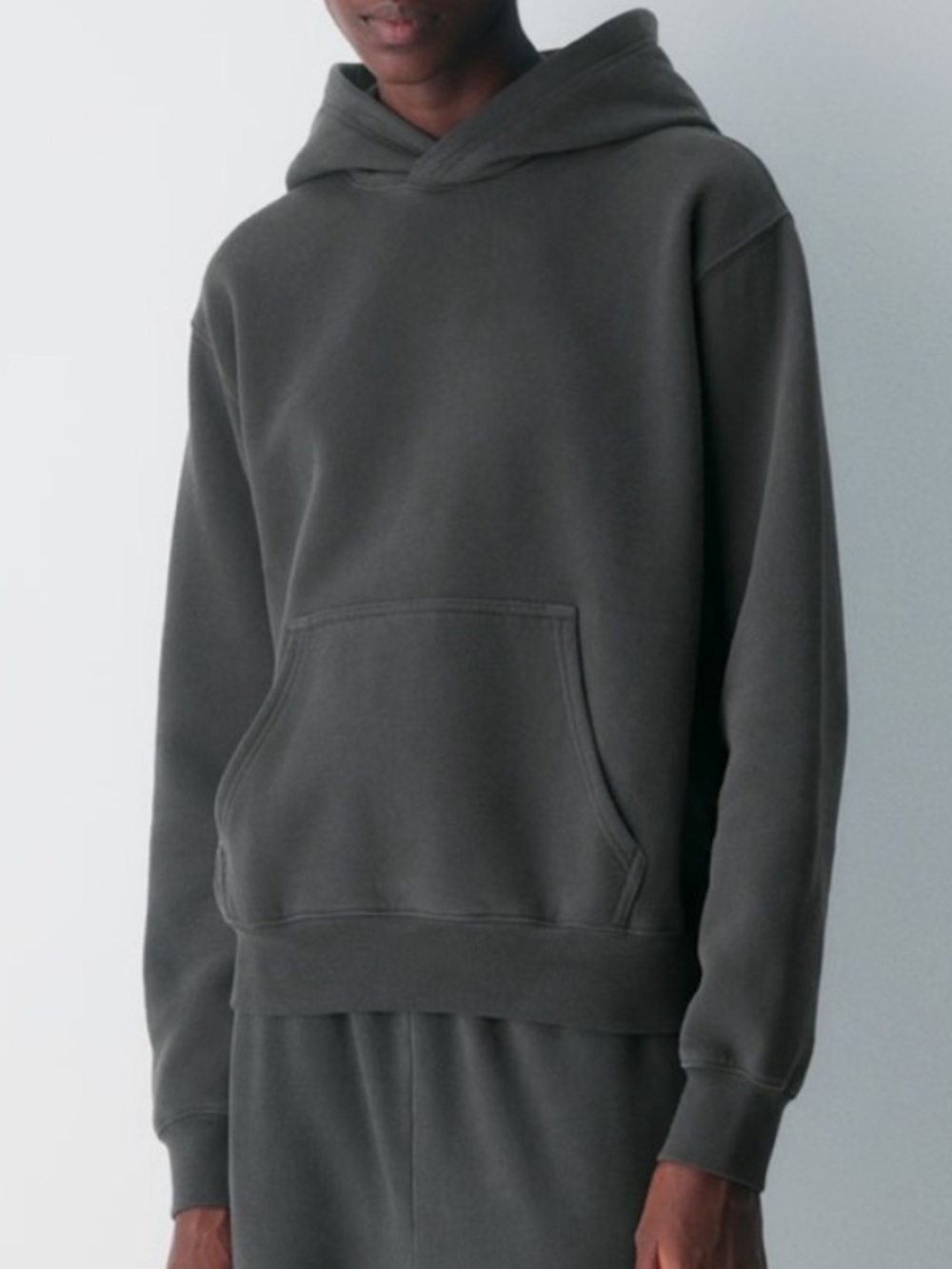 Aritzia Cozy Fleece Mega Hoodie